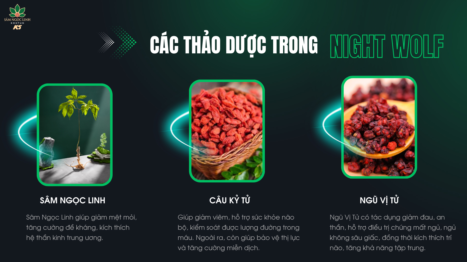 Các thảo dược trong Night Wolf giúp tăng cường đề kháng, giảm mệt mỏi.