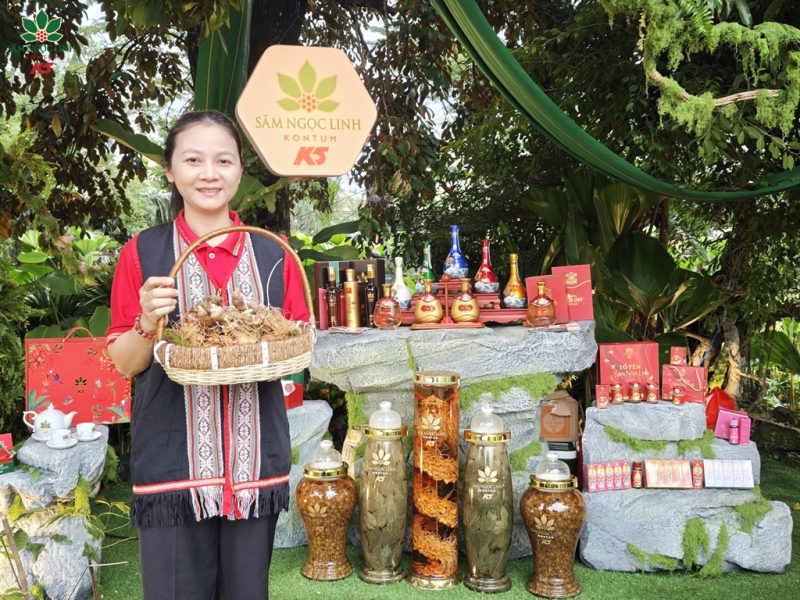 Gian hàng Sâm Ngọc Linh K5 tại sự kiện.