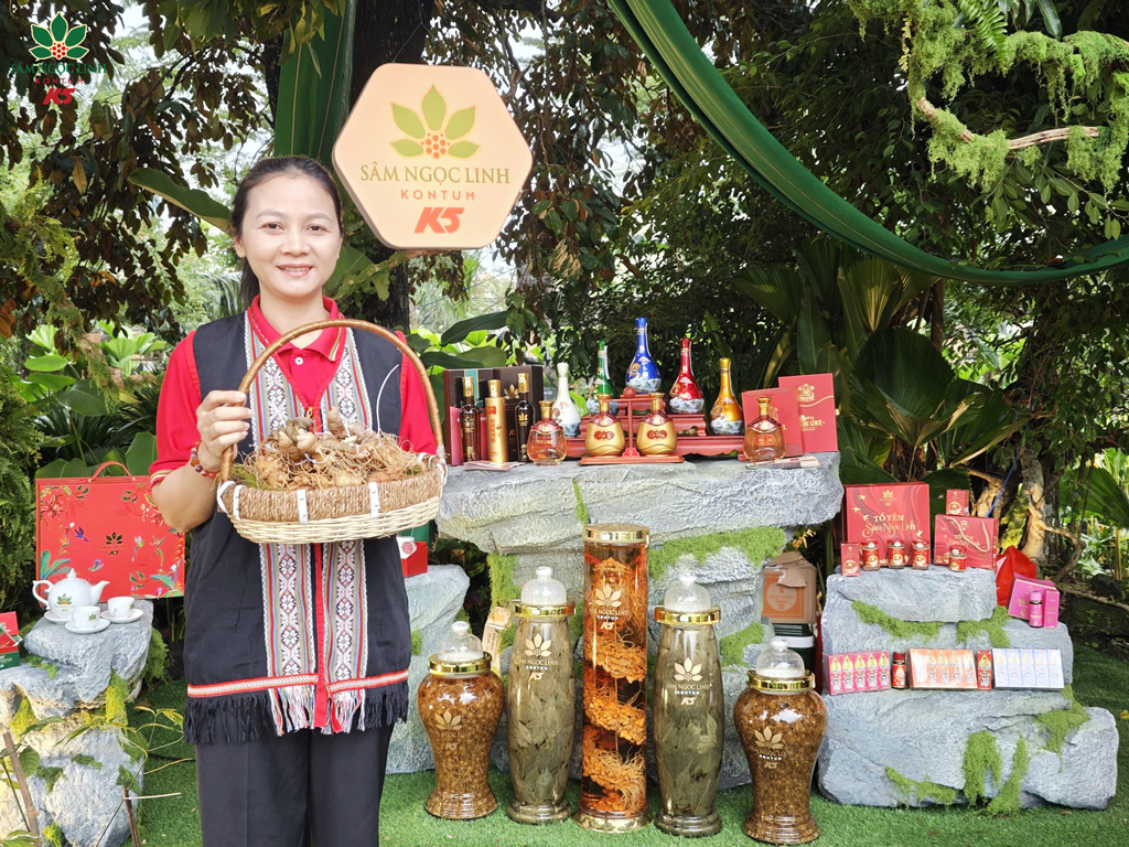 Gian hàng Sâm Ngọc Linh K5 tại sự kiện.