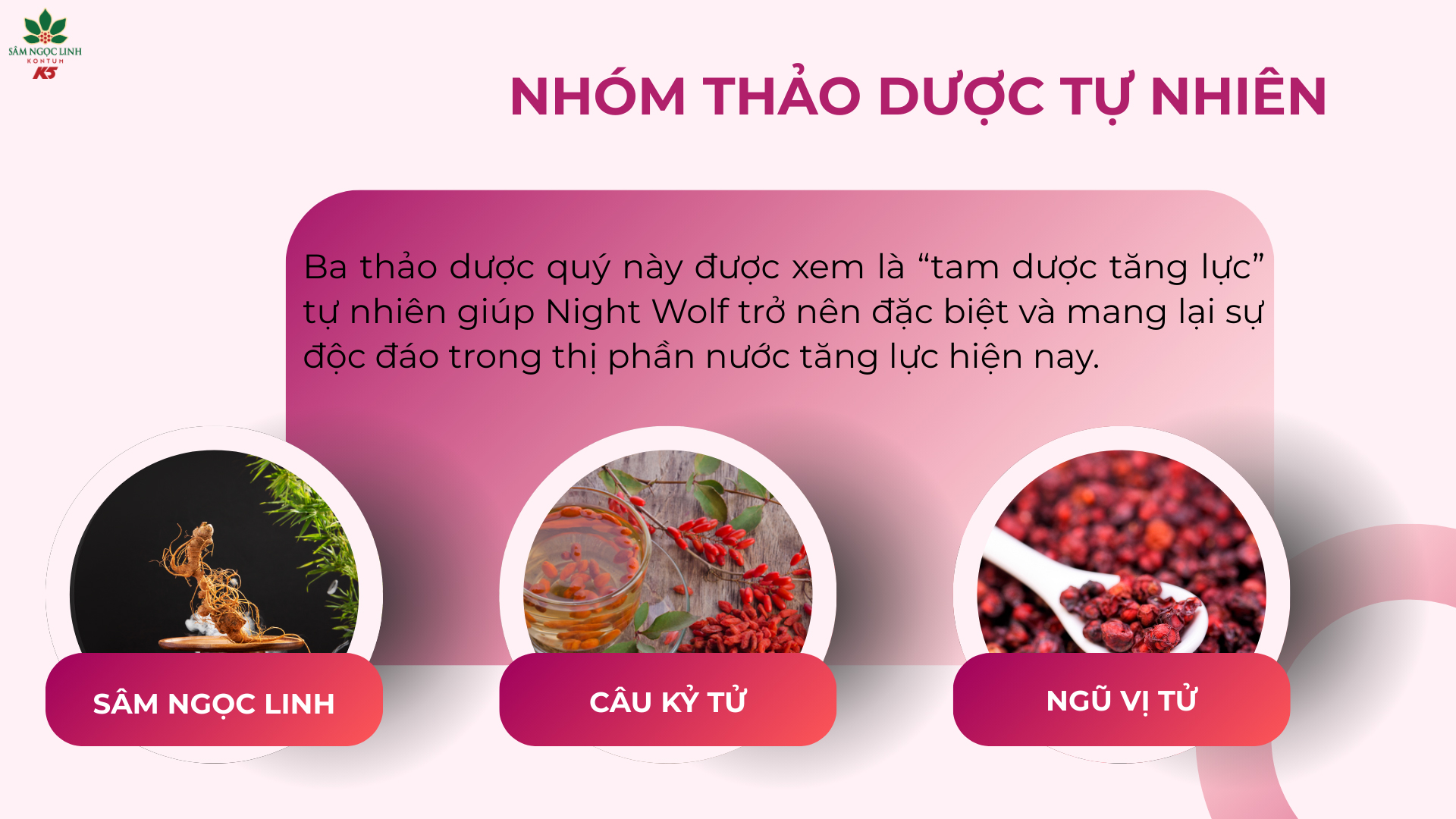 Nhóm thảo dược tự nhiên trong thành phần nước tăng lực Night Wolf.