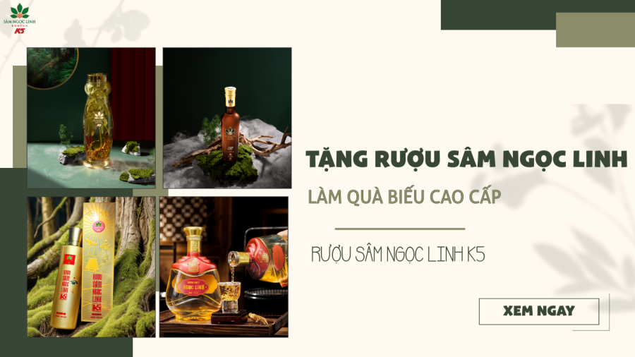 Tặng rượu Sâm Ngọc Linh làm quà biếu cao cấp | Sâm Ngọc Linh K5