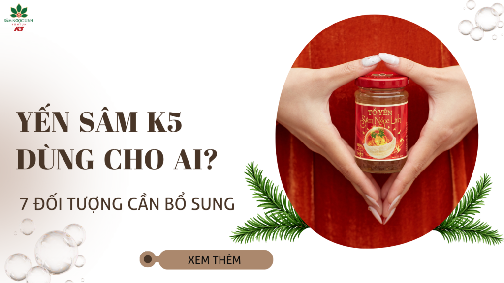 Yến Sâm K5 dùng cho ai? 7 đối tượng cần bổ sung 