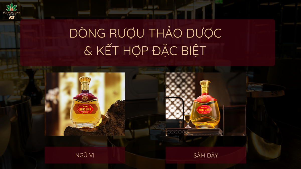 Dòng rượu thảo dược & kết hợp đặc biệt.