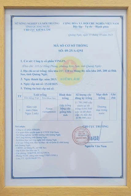 Giấy chứng nhận mã số cơ sở trồng của K5.