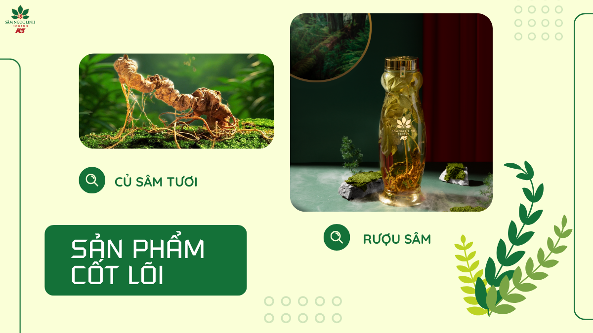 Các sản phẩm cốt lõi của K5.