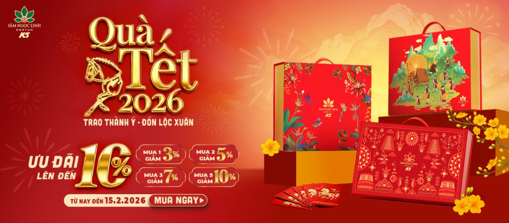 Chọn quà sức khỏe đẳng cấp với ưu đãi quà Tết 2026 từ Sâm Ngọc Linh K5.