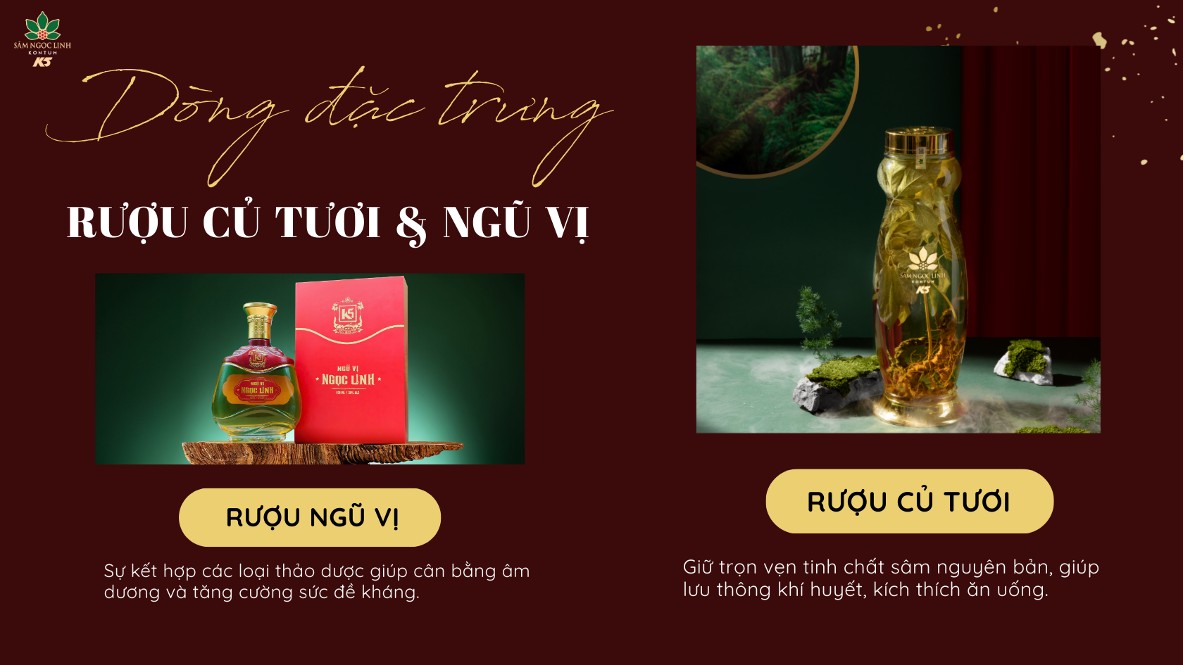 Công dụng của dòng rượu đặc trưng: Rượu sâm củ tươi và Ngũ Vị