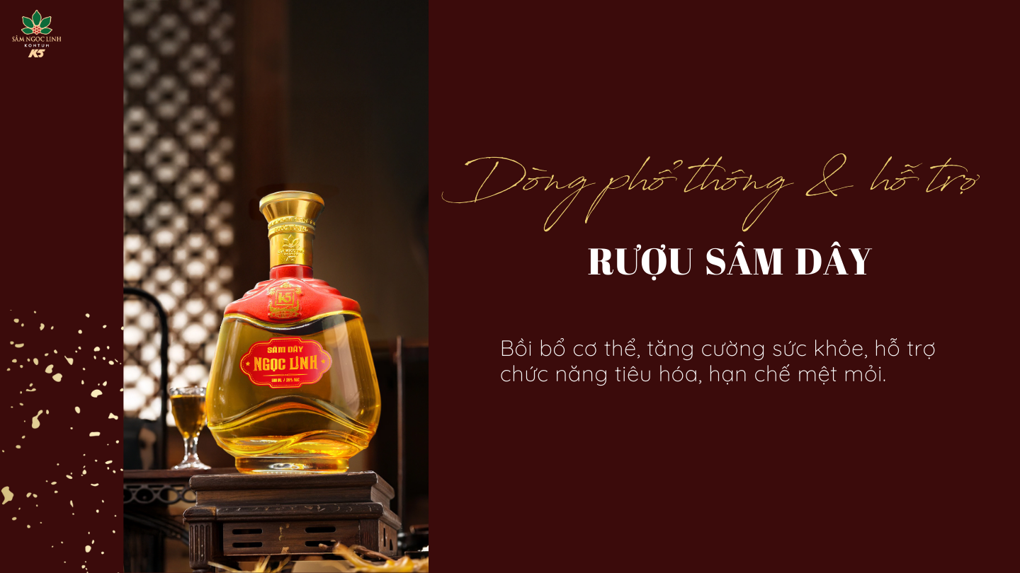 Công dụng của dòng rượu phổ thông và hỗ trợ: Rượu Sâm Dây. 
