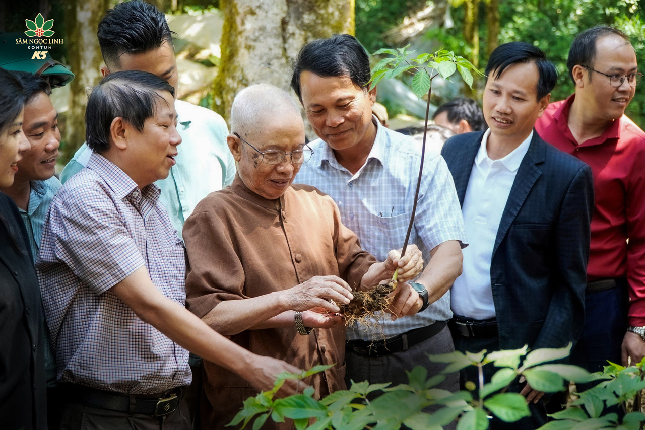 Dược sỹ Đào Kim Long về thăm vườn Sâm K5.