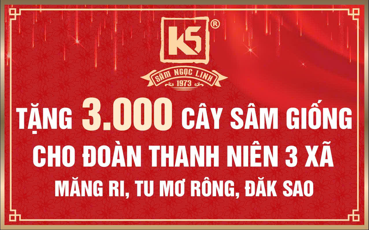 Sâm K5 trao tặng 3.000 cây giống Sâm Ngọc Linh cho đoàn thanh niên 3 xã.