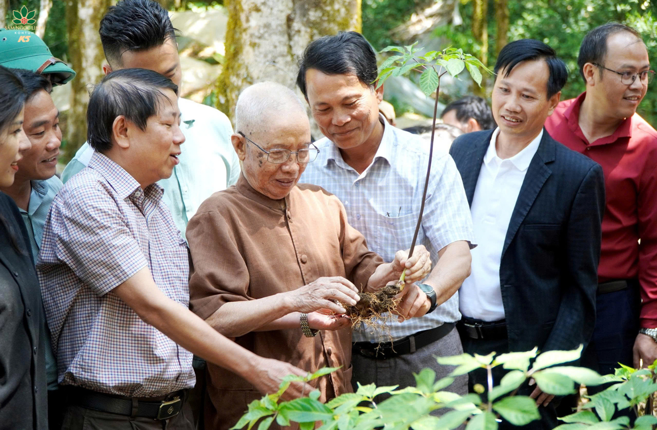 Dược sĩ Đào Kim Long thăm vườn Sâm K5.