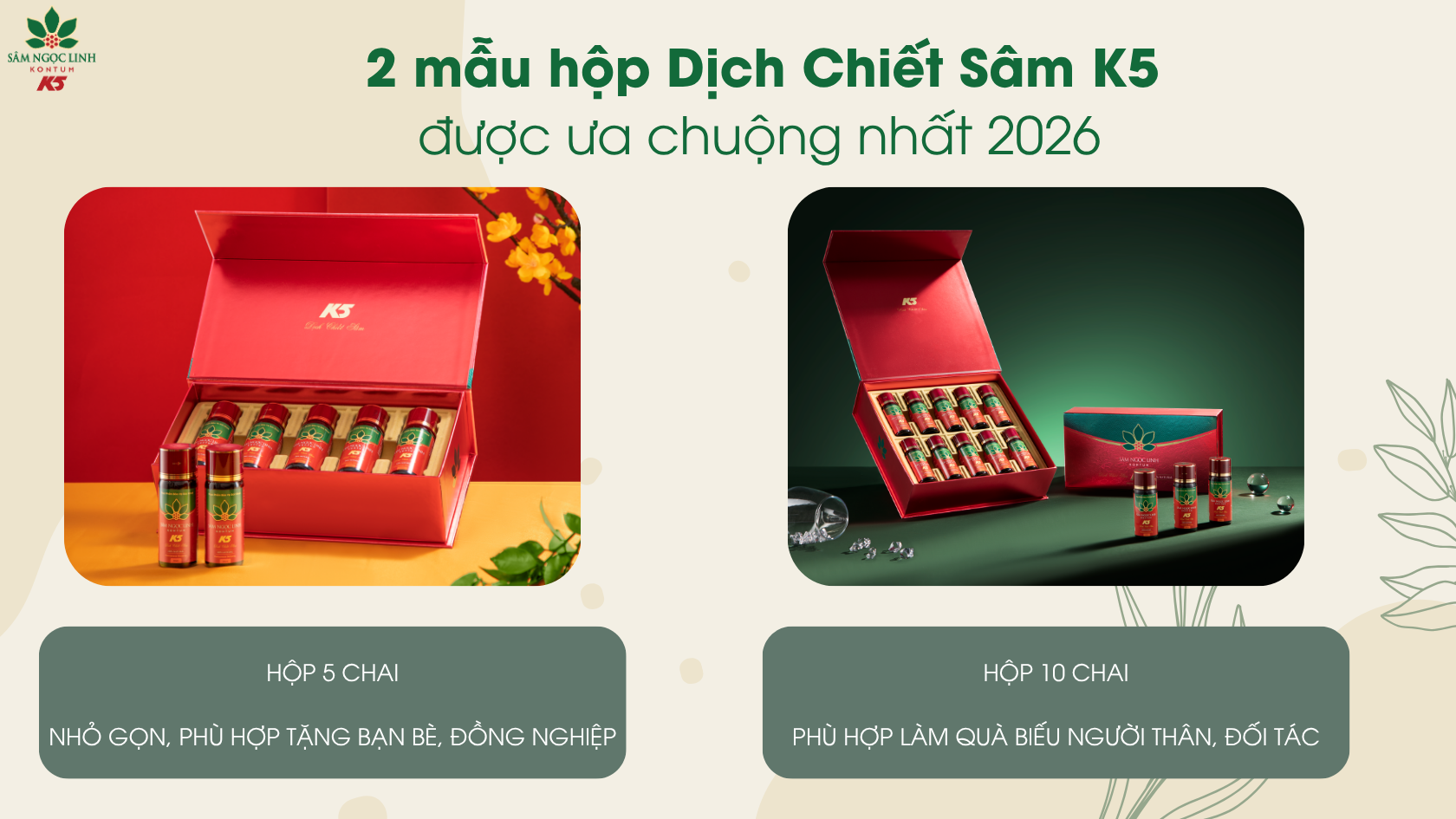 Các mẫu hộp quà Dịch Chiết Sâm K5 được ưa chuộng nhất 2026.