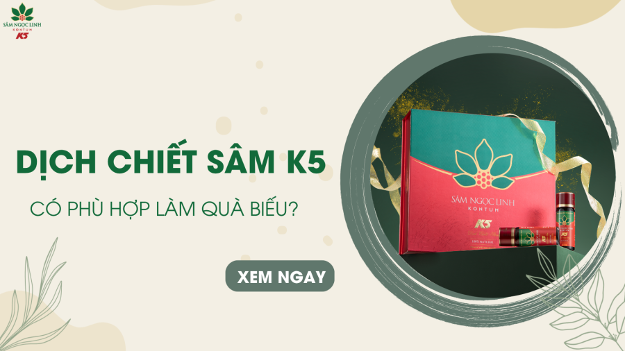 Dịch Chiết Sâm Ngọc Linh K5 – Quà biếu cao cấp, thiết thực