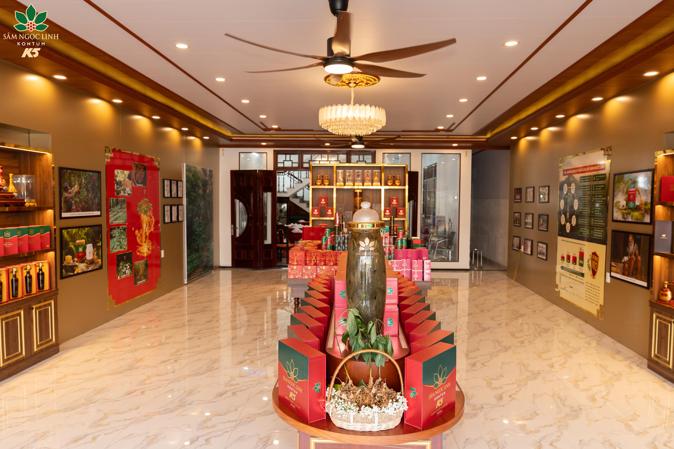 Không gian bên trong showroom Sâm Ngọc Linh K5 Huế.