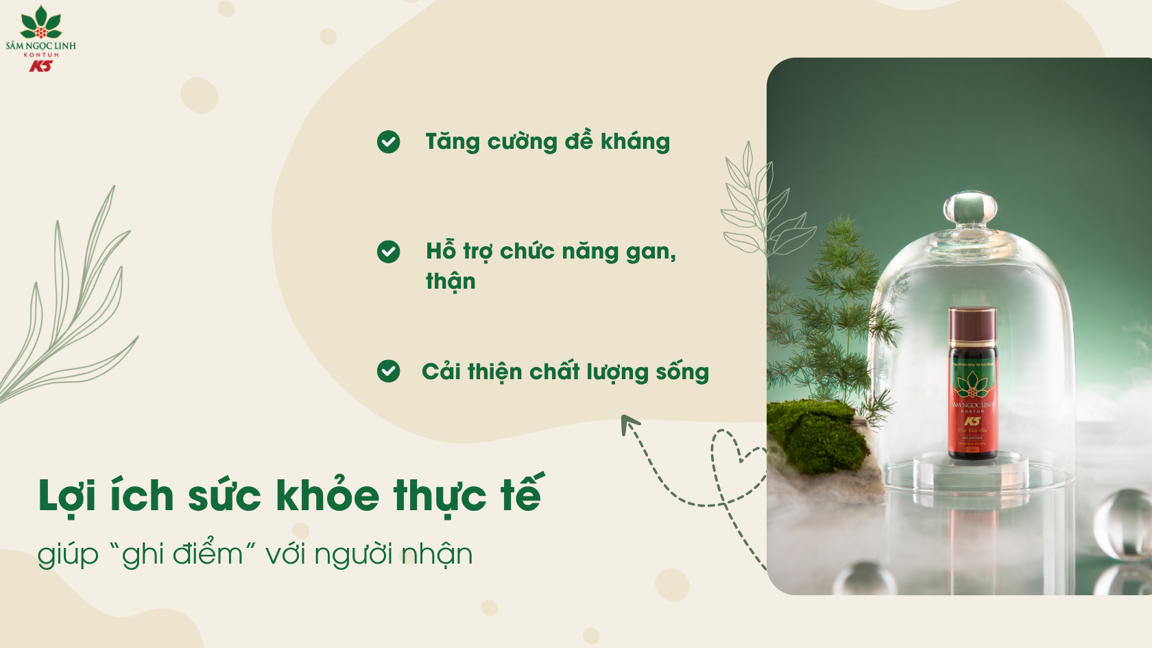 Lợi ích sức khỏe thực tế của Dịch Chiết Sâm K5.