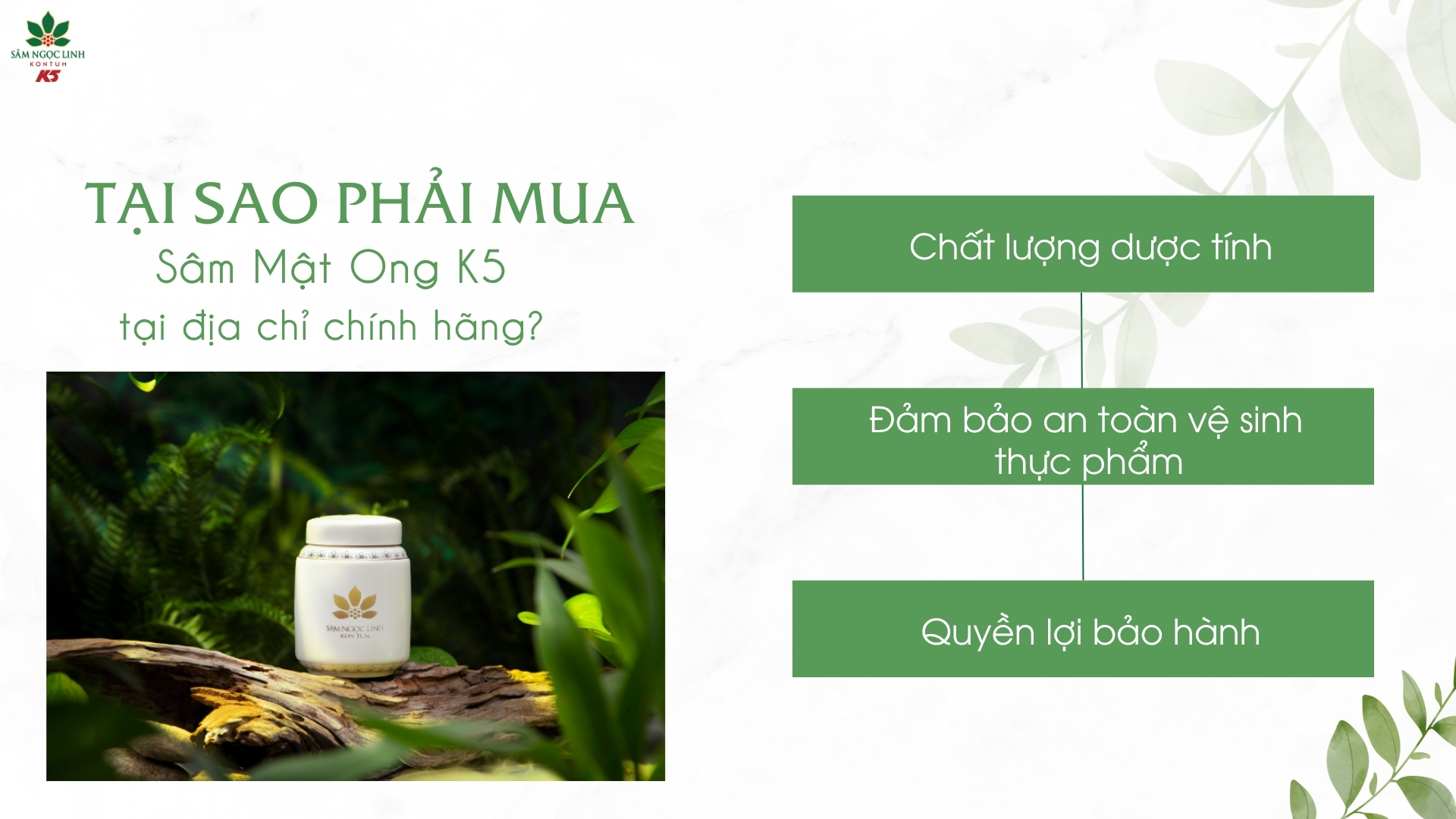 Lý do nên mua Sâm Mật Ong K5 tại các địa chỉ chính hãng.