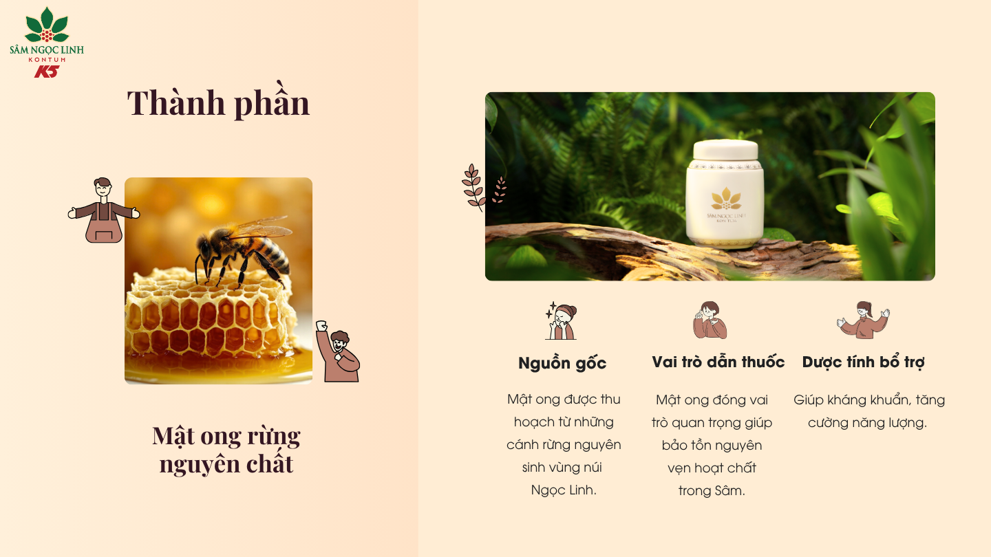Thành phần mật ong rừng nguyên chất – Dung môi bảo tồn dược tính. 