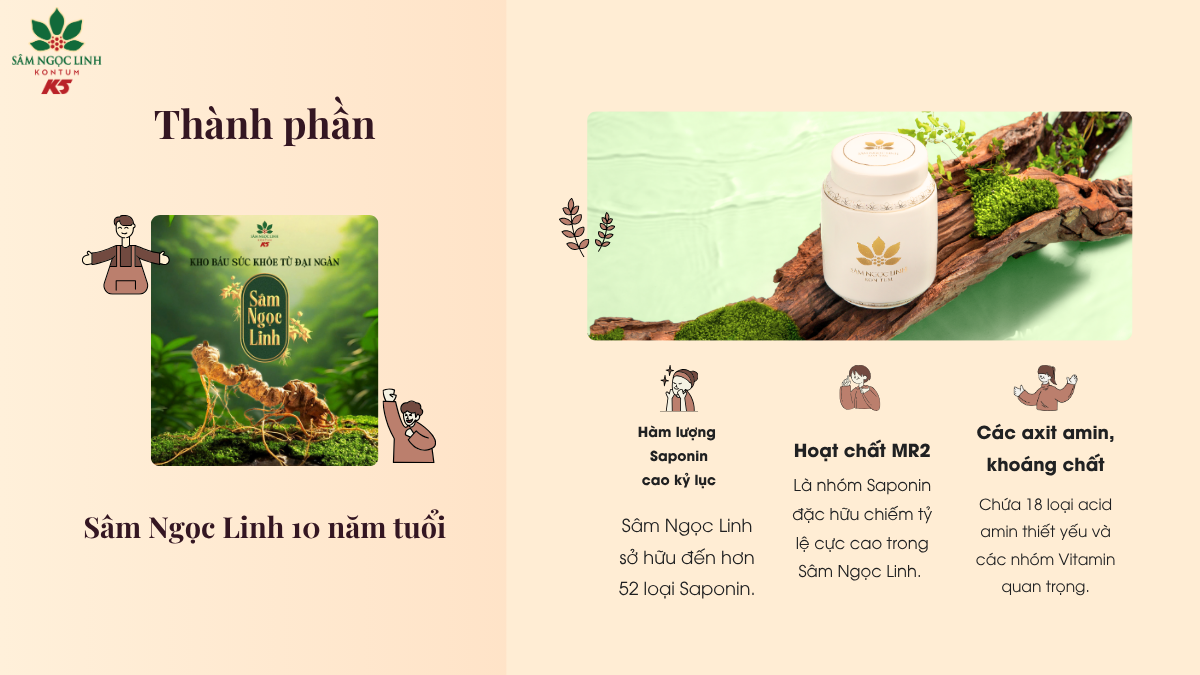 Thành phần Sâm Ngọc Linh 10 năm tuổi quý hiếm.
