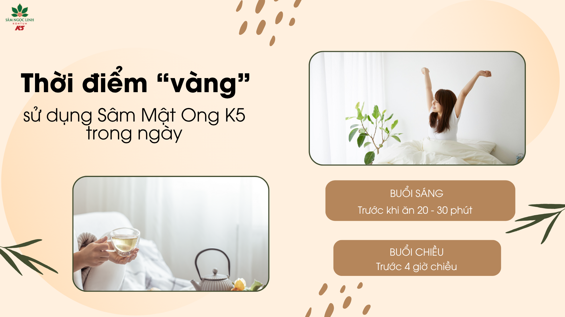 Thời điểm lý tưởng trong ngày sử dụng Sâm Mật Ong K5.