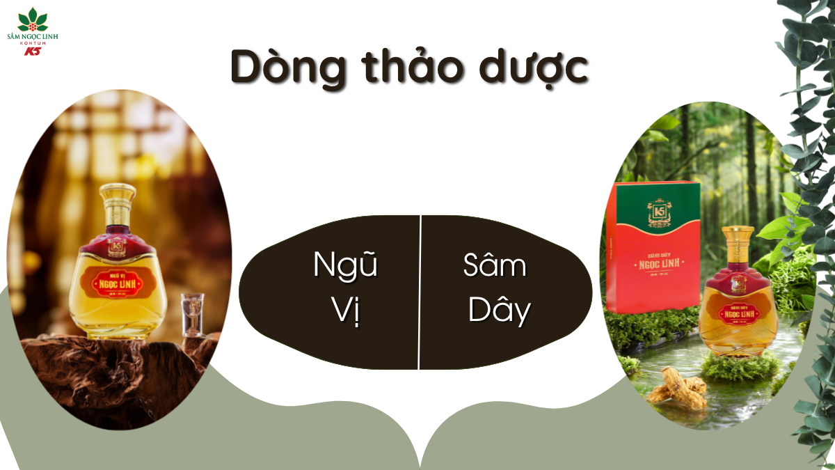 Dòng rượu thảo dược của Dòng rượu label của Sâm Ngọc Linh K5.