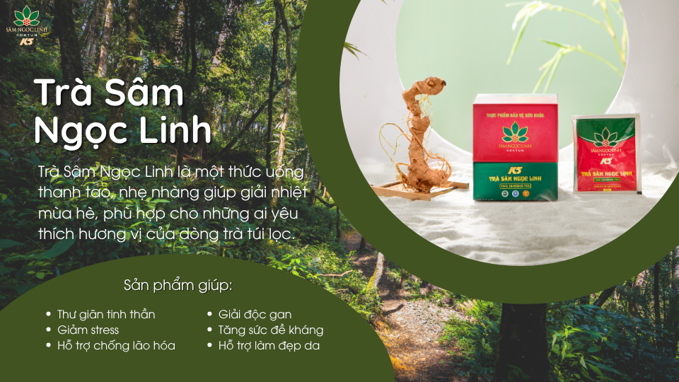 Sản phẩm trà Sâm Ngọc Linh giúp giải độc, mát gan, giảm mệt mỏi.