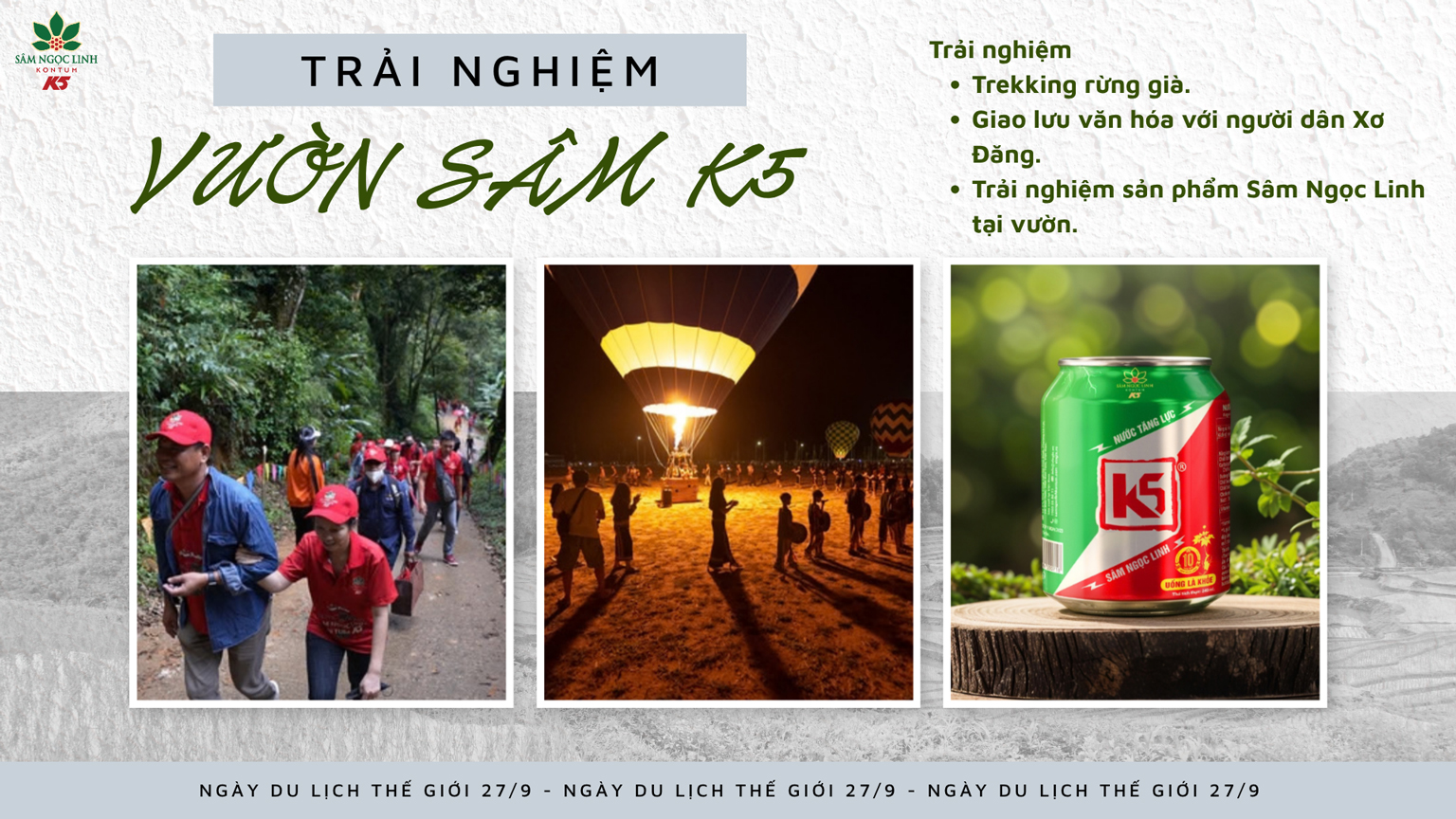 Trải nghiệm không thể bỏ qua tại vùng trồng Sâm Ngọc Linh K5.