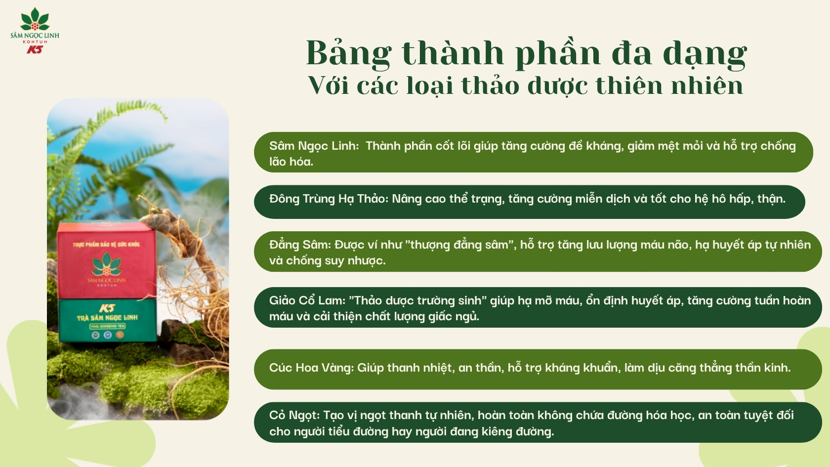Trà Sâm Ngọc Linh chứa nhiều thành phần thảo dược quý hiếm giúp cải thiện sức khỏe người dùng.