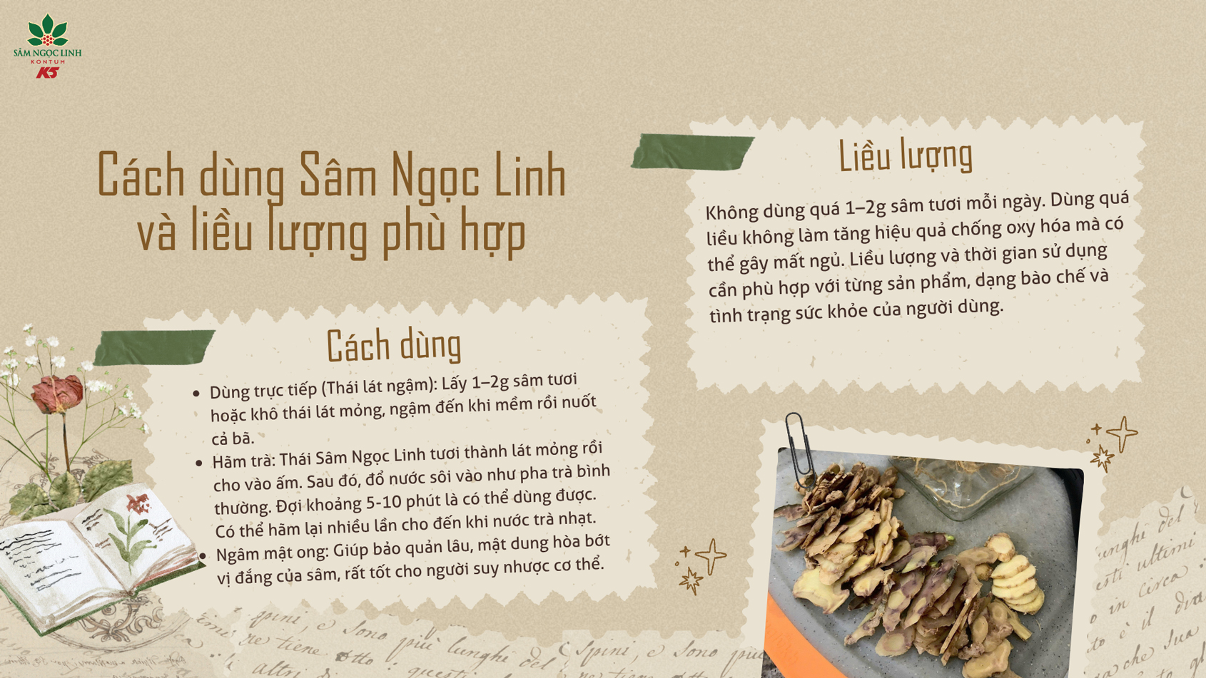 Cách dùng Sâm Ngọc Linh và liều lượng phù hợp.