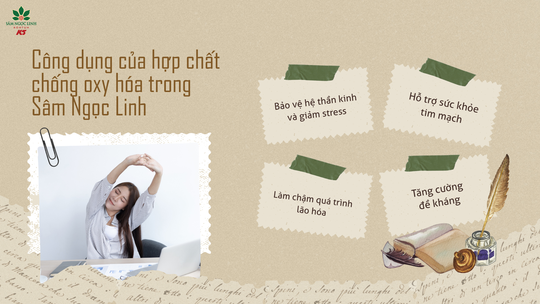 Công dụng của hợp chất chống oxy hóa Sâm Ngọc Linh với cơ thể.