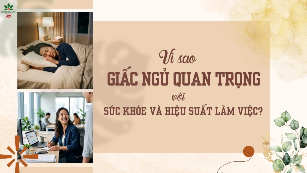 Vì sao giấc ngủ quan trọng với sức khỏe và hiệu suất làm việc?