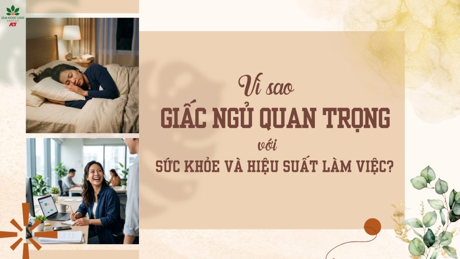 Vì sao giấc ngủ quan trọng với sức khỏe và hiệu suất làm việc?