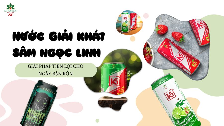 Nước giải khát Sâm Ngọc Linh: Giải pháp tiện lợi cho ngày bận rộn