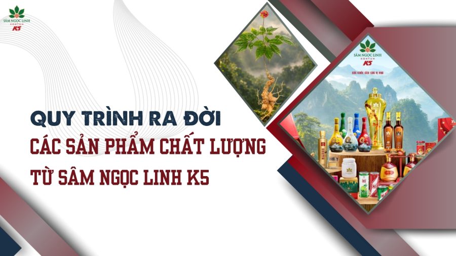 Quy trình cho ra đời những sản phẩm chất lượng từ Sâm Ngọc Linh K5
