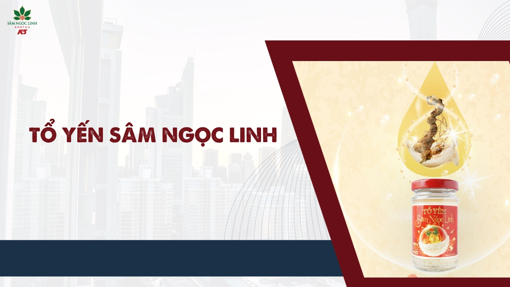 Sản phẩm Tổ Yến Sâm Ngọc Linh.