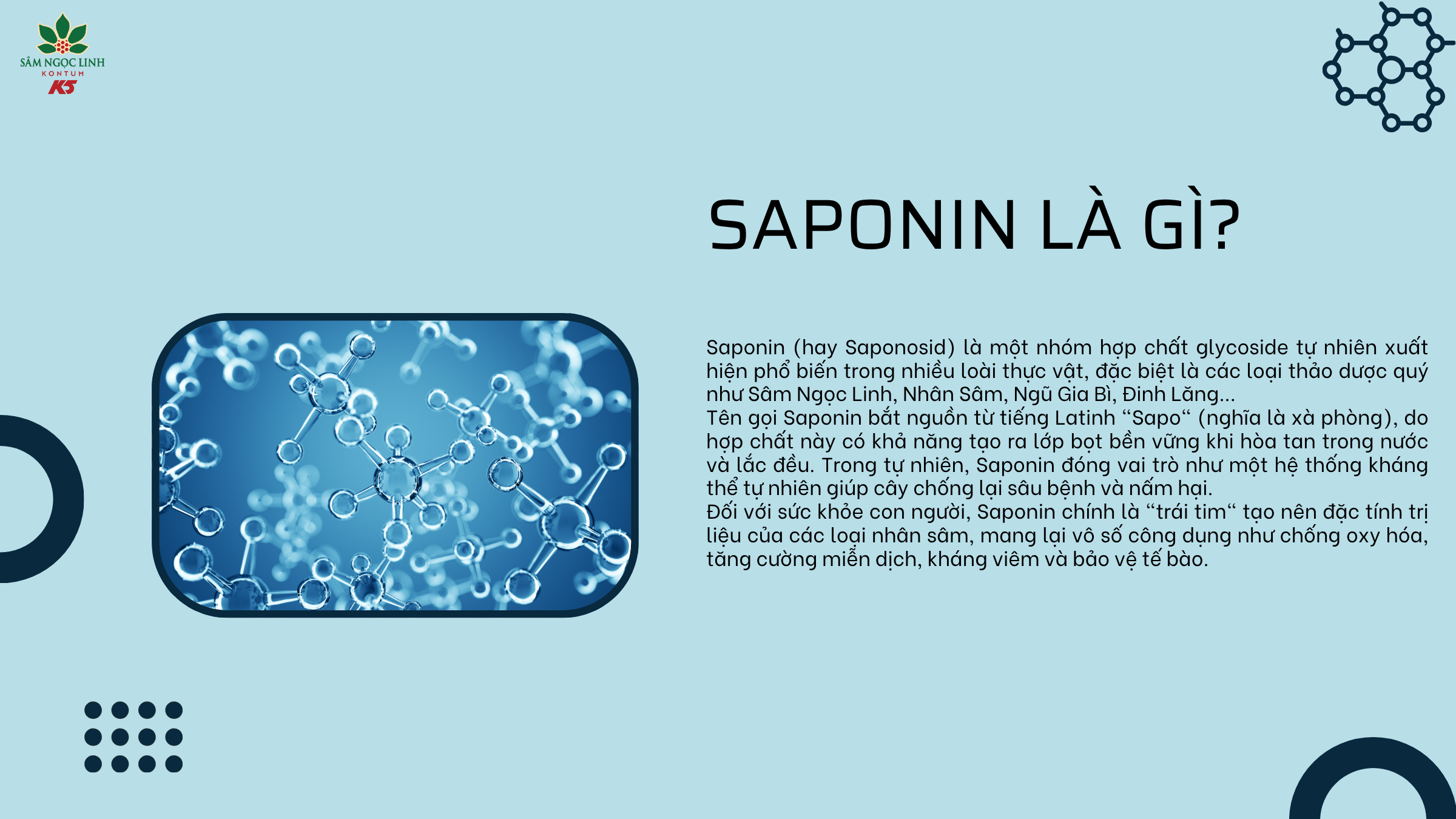Thành phần saponin là gì có thể bạn chưa biết.