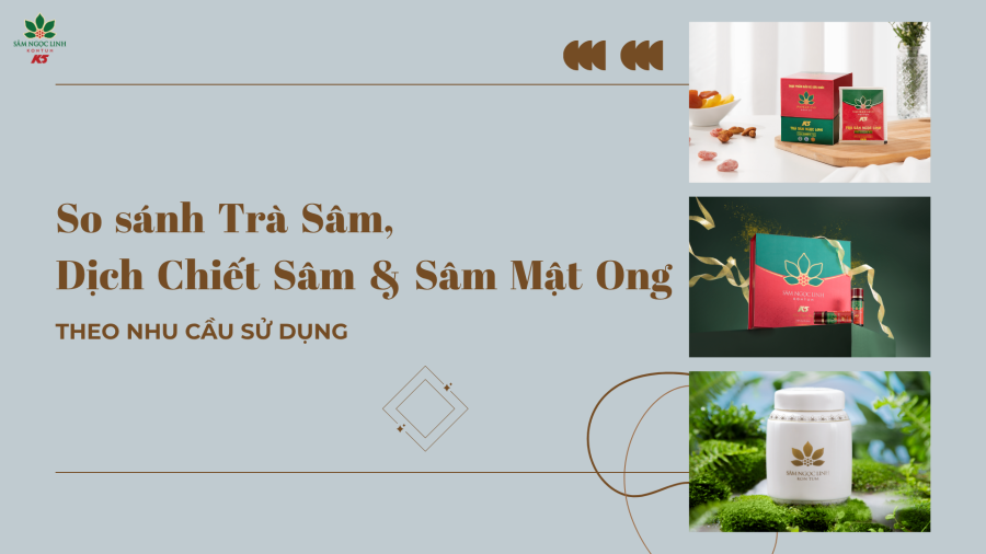 So sánh Trà Sâm, Dịch Chiết Sâm Và Sâm Mật Ong theo nhu cầu sử dụng