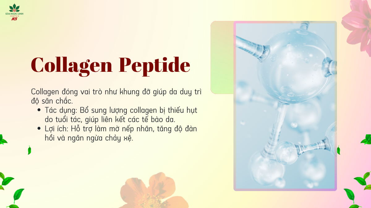 Collagen Peptide – Thành phần được quan tâm trong lĩnh vực chăm sóc da.