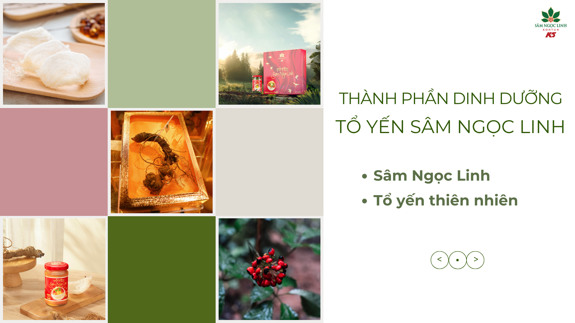 Tổ yến Sâm Ngọc Linh chứa các thành phần đại bổ giúp cơ thể thêm khỏe mạnh và tăng cường năng lượng.