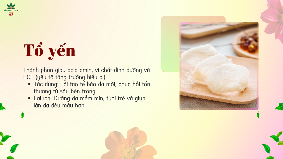 Tổ yến – Nguyên liệu quen thuộc trong các sản phẩm chăm sóc sức khỏe và sắc đẹp.