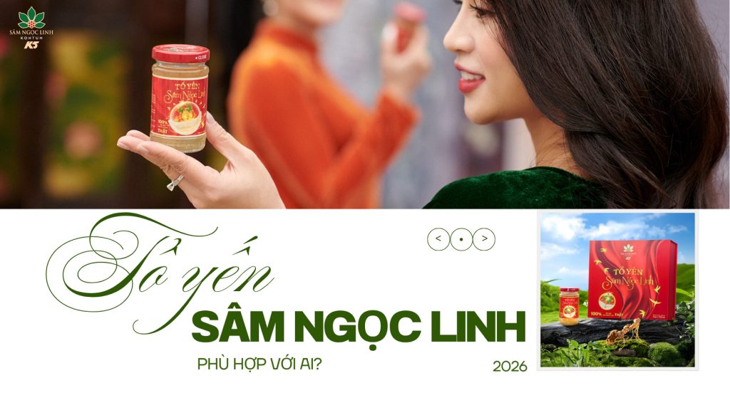 Tổ yến Sâm Ngọc Linh phù hợp với ai? Hướng dẫn lựa chọn sản phẩm chuẩn chất lượng