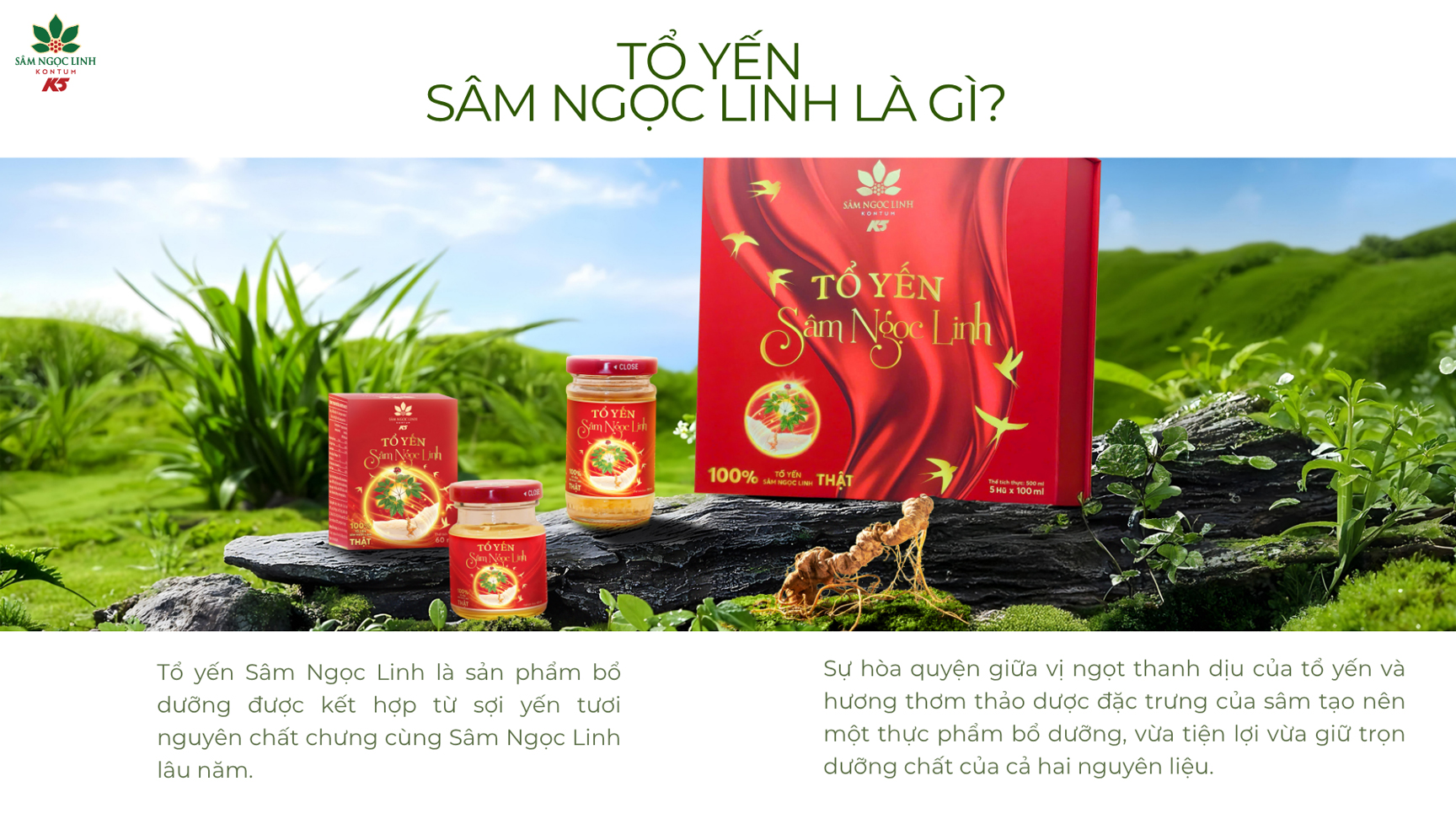 Tổ yến Sâm Ngọc Linh là thực phẩm bổ dưỡng mang lại nhiều lợi ích sức khỏe.