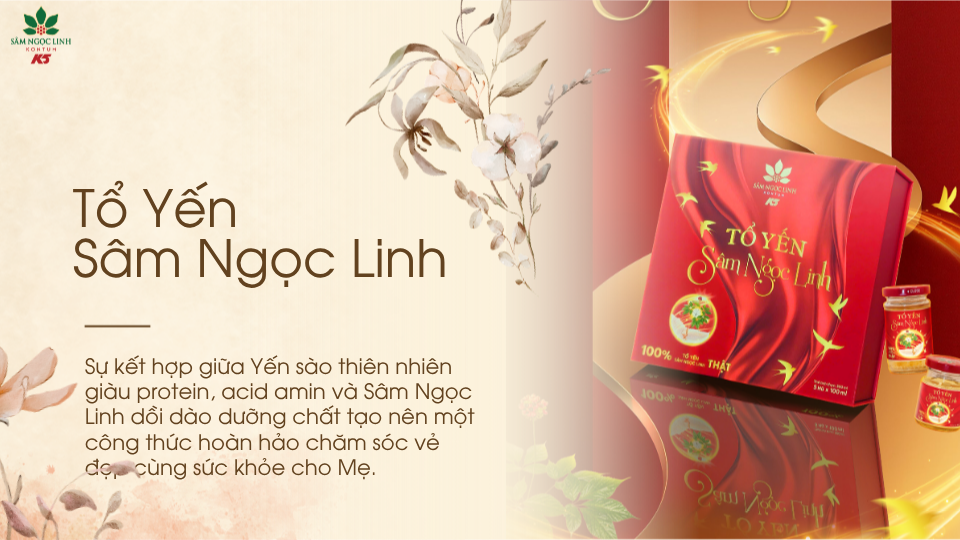 Tổ Yến Sâm Ngọc Linh – Dưỡng chất nhân đôi, nâng niu làn da & vóc dáng.